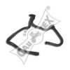 CAUTEX 031146 Radiator Hose